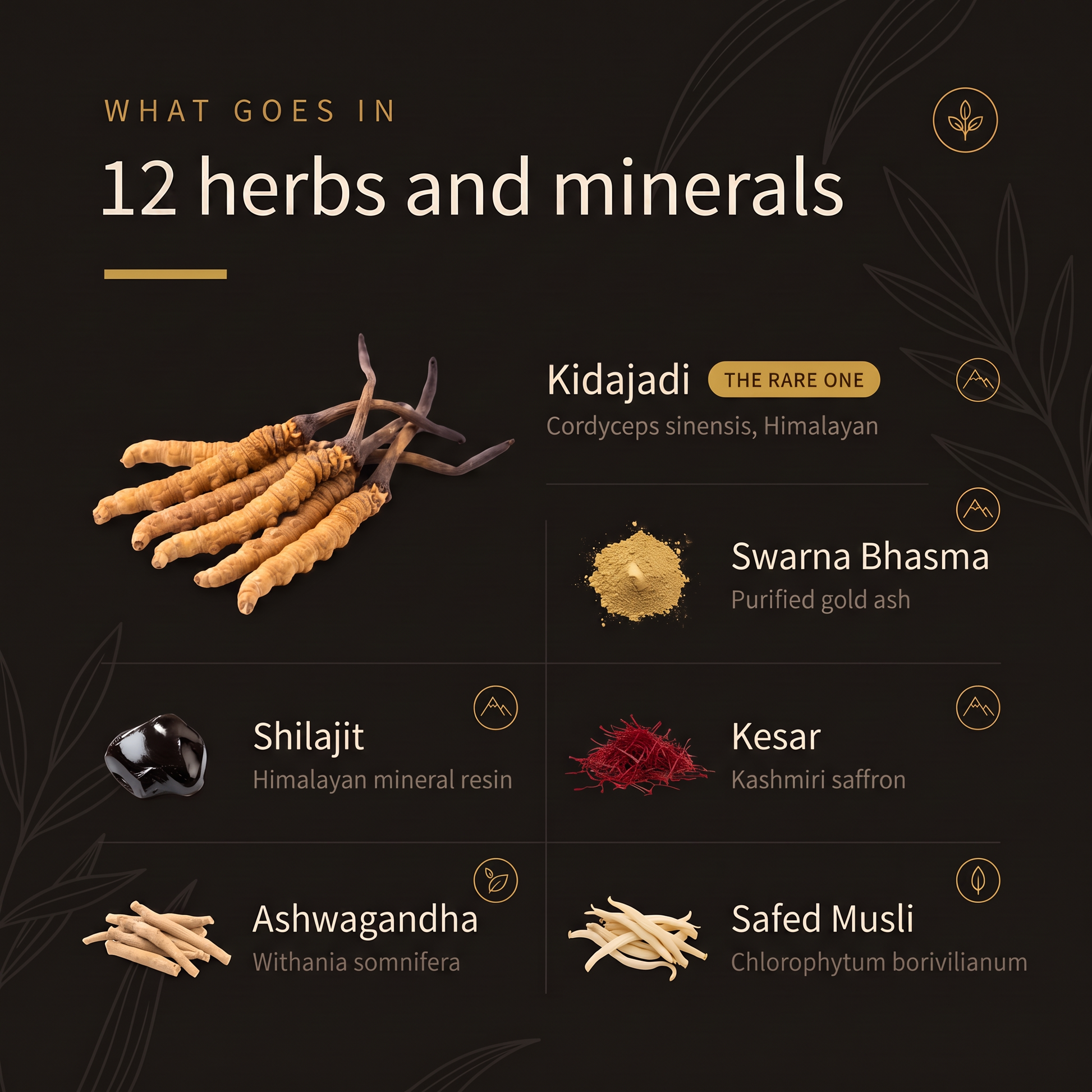 12 herbs and minerals in Kridavati: Kidajadi (Cordyceps sinensis, Himalayan), Swarna Bhasma, Shilajit, Kesar, Ashwagandha and Safed Musli.