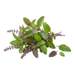Panch Tulsi & Herb Juices